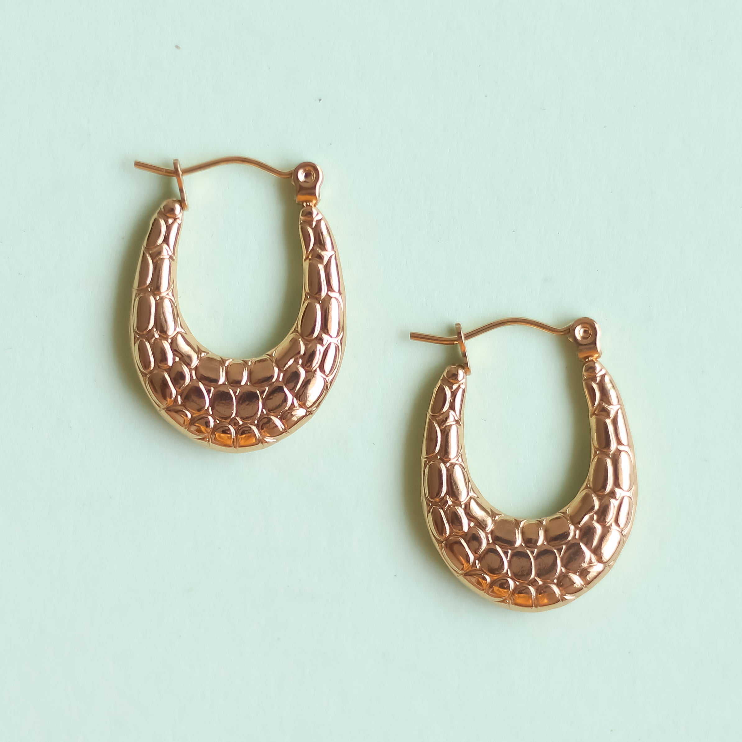 Classic Hoops Earrings