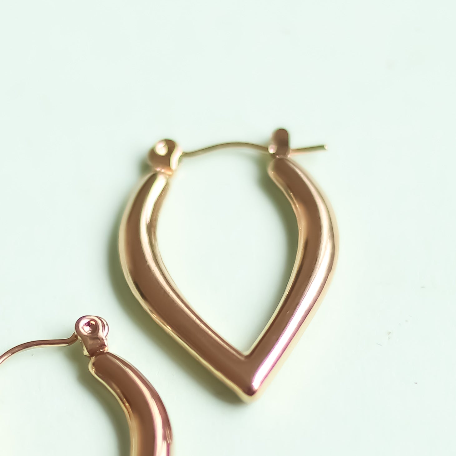 Leaf Hoop Earrings