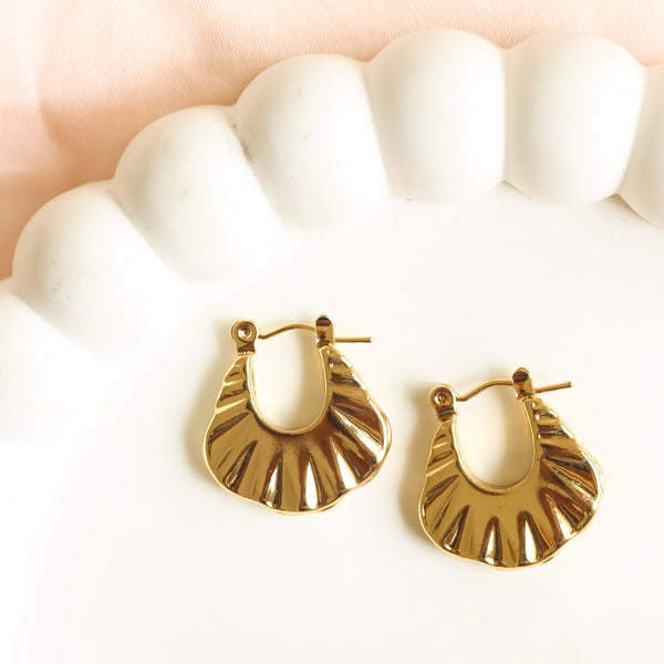 (A1)Ray hoops
