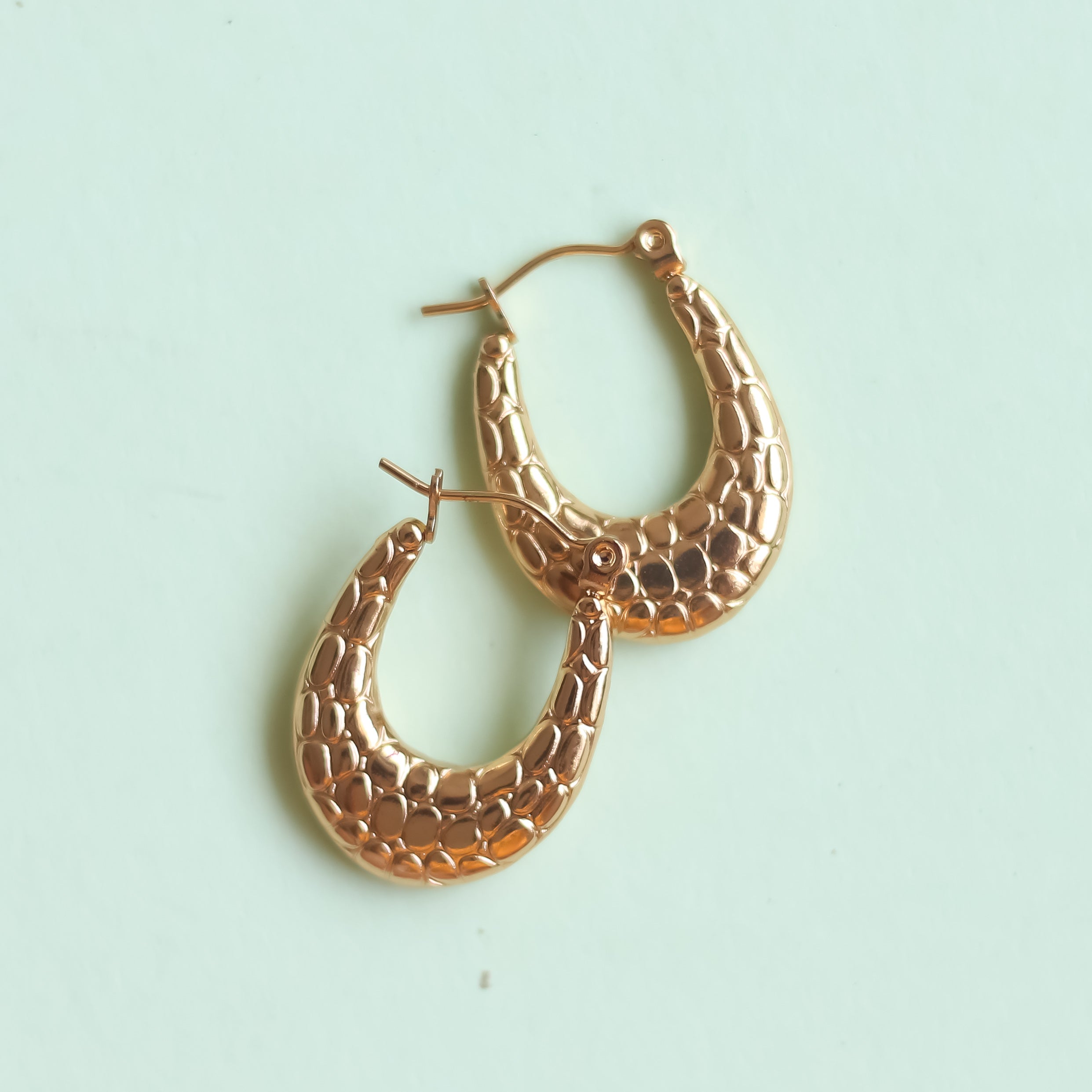 Classic Hoops Earrings