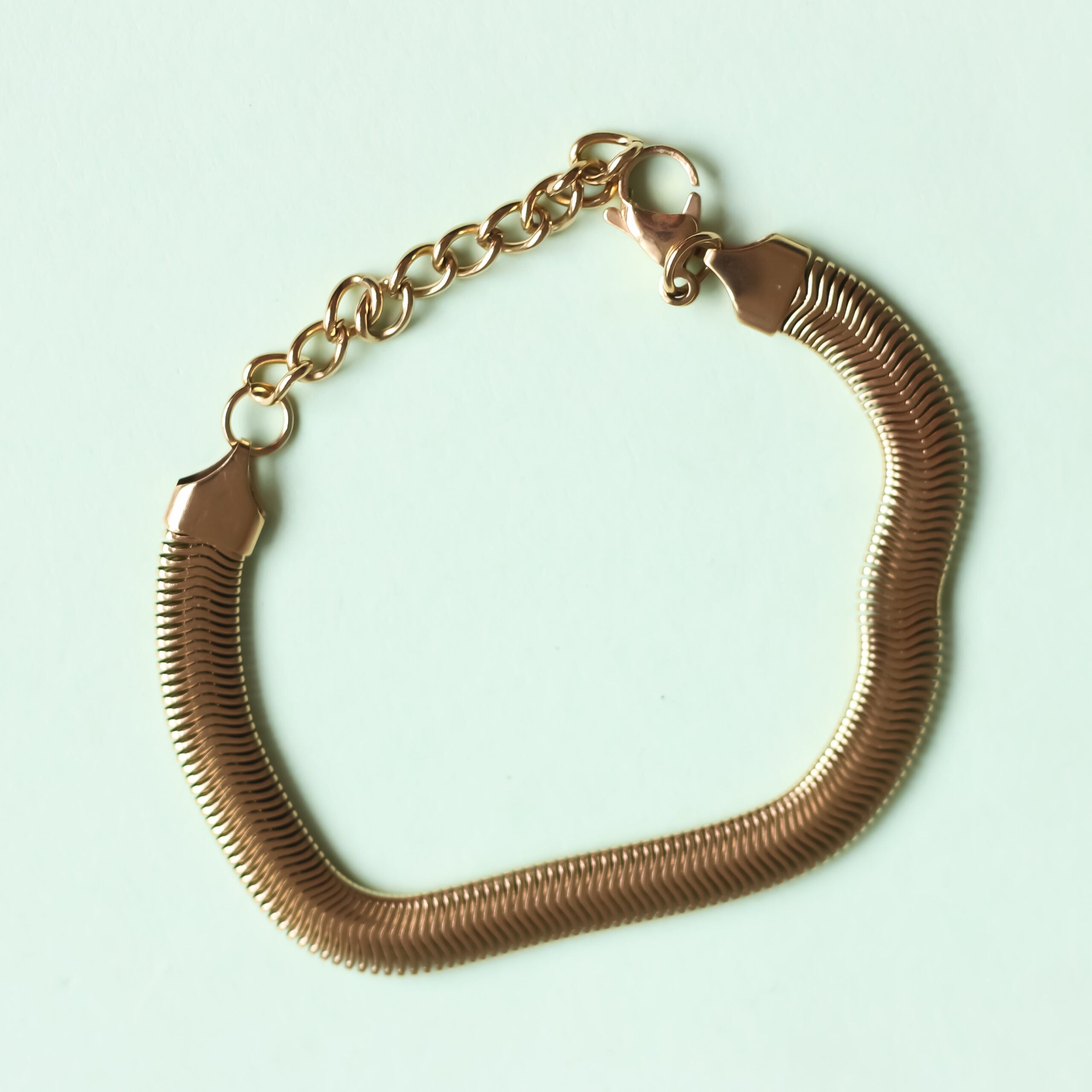 Snake Chain Bracelet